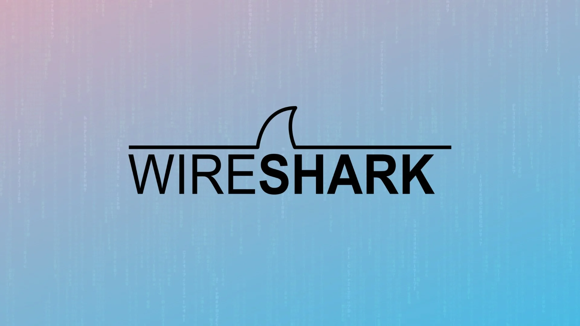 Using Wireshark